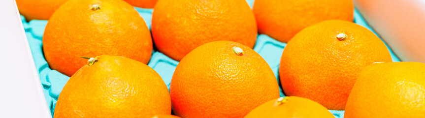 贈答用 の 箱入り みかん 【 柑橘類 の ふるさと納税 の イメージ 】