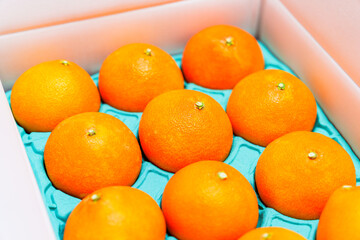 贈答用 の 箱入り みかん 【 柑橘類 の ふるさと納税 の イメージ 】