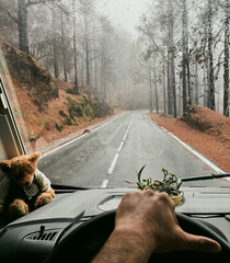 One man pov or his hands driving a vehicle on a long scenic trees asphalt road. Traveling and driving camper van truck. Freedom and going to destination concept lifestyle people. Journey vanlife trip