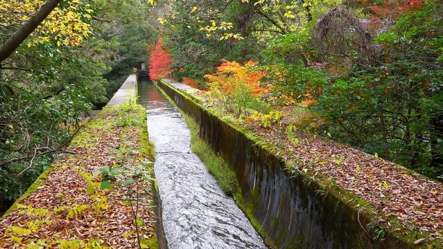 京都　南禅寺　琵琶湖疏水の水の流れ