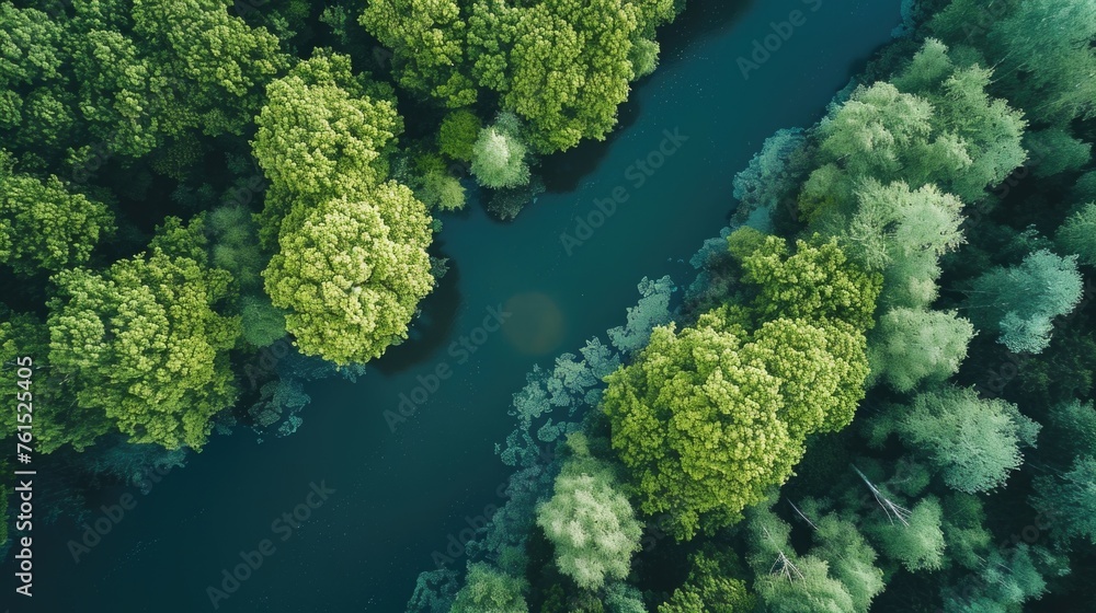 Poster scenic view of a river flowing through a vibrant green forest. ideal for nature and travel concepts