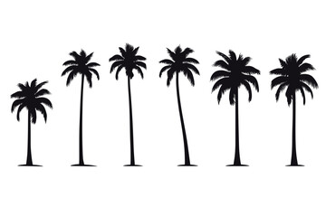A set of detailed palm and coconut tree silhouette illustrations