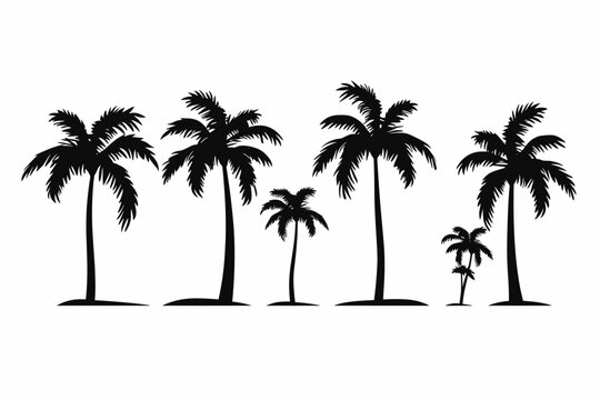 A set of detailed palm and coconut tree silhouette illustrations
