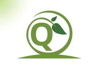 Letter Q Leaf Logo Design Vector letter template. With Leaf Symbol, Vector Illustration.