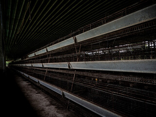 The empty laying cages of poultry houses, old, decayed, abandoned - 761541092