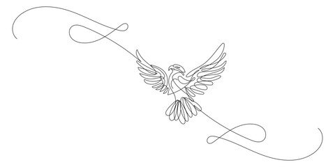 Eagle Bird Line Art Doodle Illustration. Silhouette Outline Wild Eagle Bird Monochrome Symbol Contour Hand Drawn Curve Line Decoratio