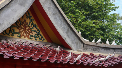 A flock of white doves perched on the roof tiles.