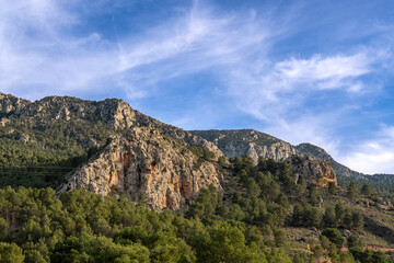 Lost in nature's embrace, finding solace in the soothing warmth of natural hot springs