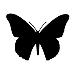Butterfly Silhouette Indiv black-41