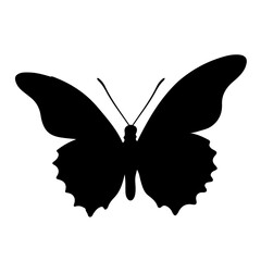 Butterfly Silhouette Indiv black 21
