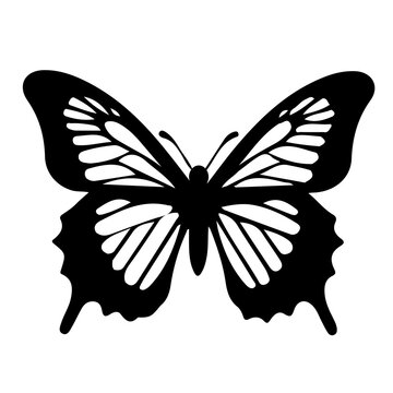 Butterfly Silhouette Indiv black-12 