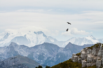 Grand Corbeau et Mont Blanc