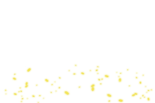 Magic firefly png, Gold fireflies png, Light effect, Mystical, lightning bug png, Photoshop photo overlays 
