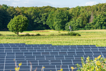 Photovoltaikanlage zur Stromerzeugung auf einem Acker in Schleswig-Holstein - 761557697