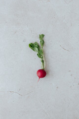 A whole radish with tops lies on a beige stone background