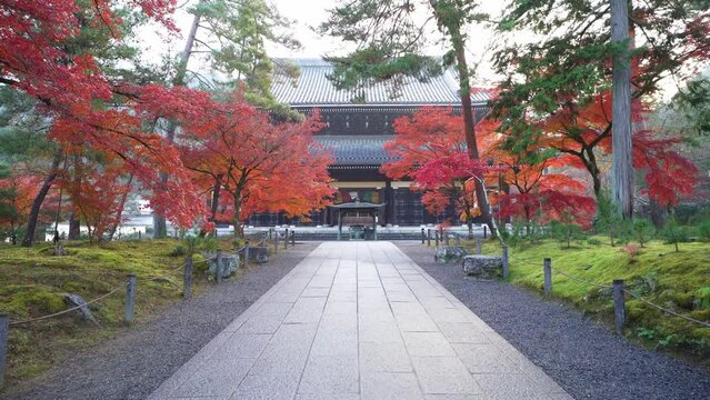 京都　南禅寺の法堂と紅葉