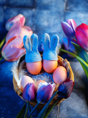 A wicker basket with Easter eggs dressed in hats with bunny ears . Fresh colorful tulips, blue background