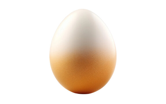 Egg with Transparency
