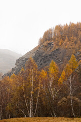 Vall&eacute;e de la haute romanche 