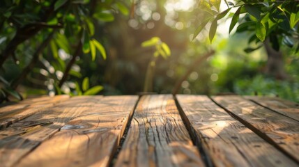 Sunlight filtering through leaves illuminates a wooden surface in a serene outdoor setting during late afternoon