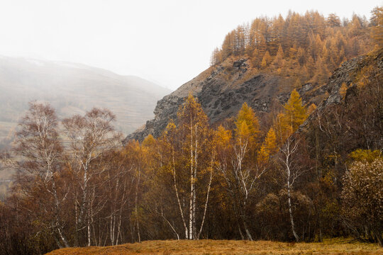 Vall&eacute;e de la haute romanche 