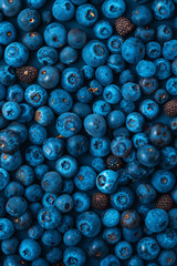 Top view of fresh blueberries. bright color. Generative AI.