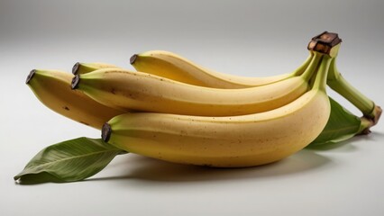 banana branch on a gray background - 761573694