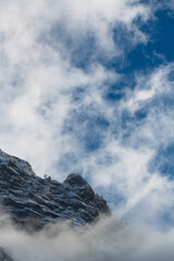 Forme sous la neige