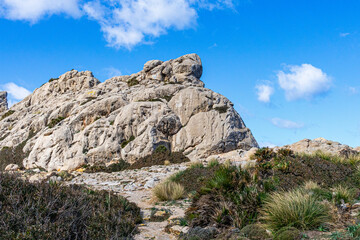 rocas