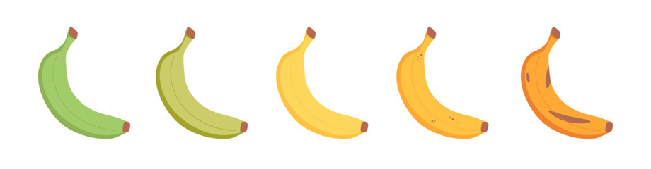 Banana ripeness stages. Different organic fruit peel color from green to brown, organic rotten and fresh ripe fruit.