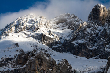 Forme sous la neige