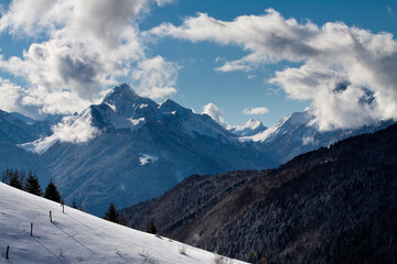 Forme sous la neige