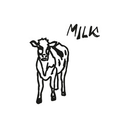 Hand drawn sketches of cows. number of livestock. livestock animal grazing. vector illustration