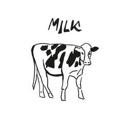 Hand drawn sketches of cows. number of livestock. livestock animal grazing. vector illustration