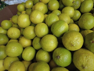lime lemon