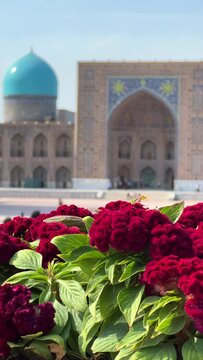 SAMARKAND, UZBEKISTAN, JULY 2. 2023: View of The Registan Square. Ulugh Beg Madrasah, popular tourist attraction of Central Asia. 4К