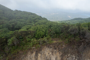 Forest on mountain volcano cliff