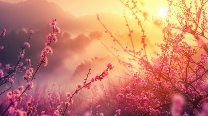 sunrise as the sun breaks through the clouds, illuminating blooming plum blossoms in a landscape with vibrant colors and abundant empty space for text.