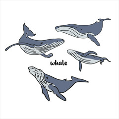 Big set of cartoon cute and funny whales, sea animals set, sea creatures collection, vector illustration of blue whale, killer whale, sperm