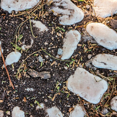 Textura de suelo de sendero con piedras y hojas secas para usar en programas de diseño 3D y arquitectura