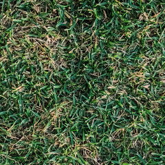 Textura de césped para usar en programas de diseño 3d y arquitectura 