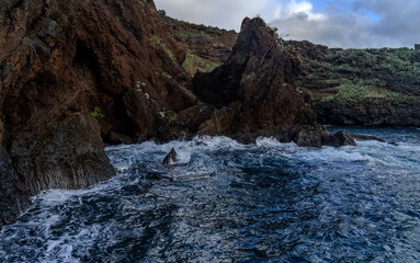 Coast Reis Magos of the island of Madeira , Portugal	