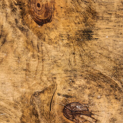 Textura de madera con alto nivel de detalle para usar en composiciones o crear materiales para...