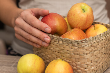 Hand Picking a Fresh Apple. Female hand holding fresh ripe apple.