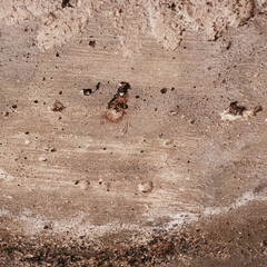 Textura de piedra para fachada de arquitectura. Edificio colonial. Para usar en programas de diseño y 3D.