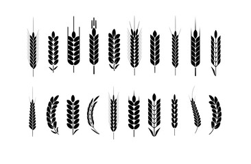 Wheat Ears Icons and Logo Set. For Identity Style. Organic wheat, bread agriculture. Vector