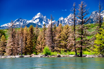 Mountains and river of Grand Teton National Park