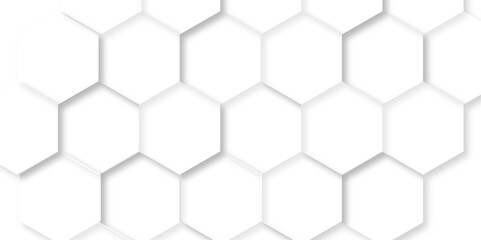 Abstract background with squares . Background with hexagons . Abstract background with lines . white texture background . white and hexagon abstract background. white paper texture and futuristic.