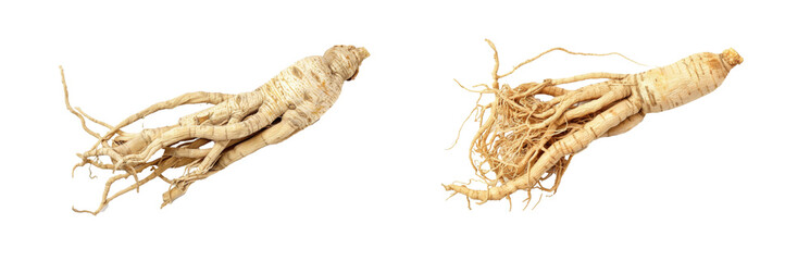 Dried ginseng isolated on white background, top view - obrazy, fototapety, plakaty