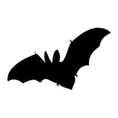 Bat silhouette icon. Vector image